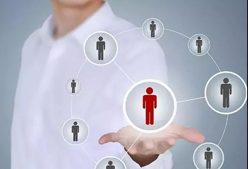 標(biāo)準(zhǔn)化管理奠定根基，個(gè)性化營(yíng)銷點(diǎn)亮未來(lái) 論酒店發(fā)展的雙翼